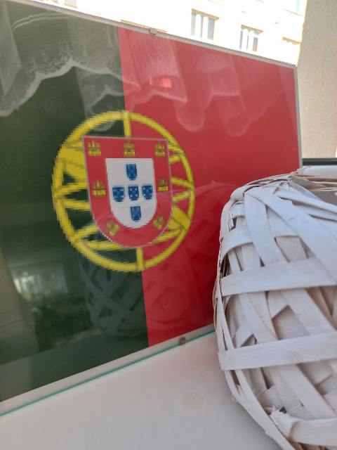 Zdjęcie 28